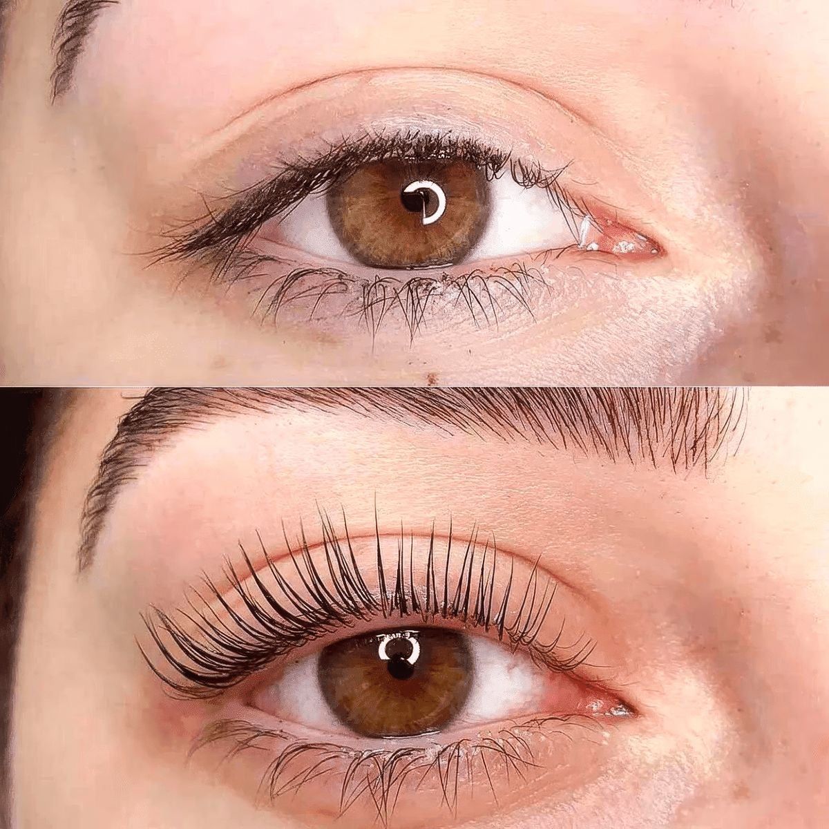 Lash Lift + Tint