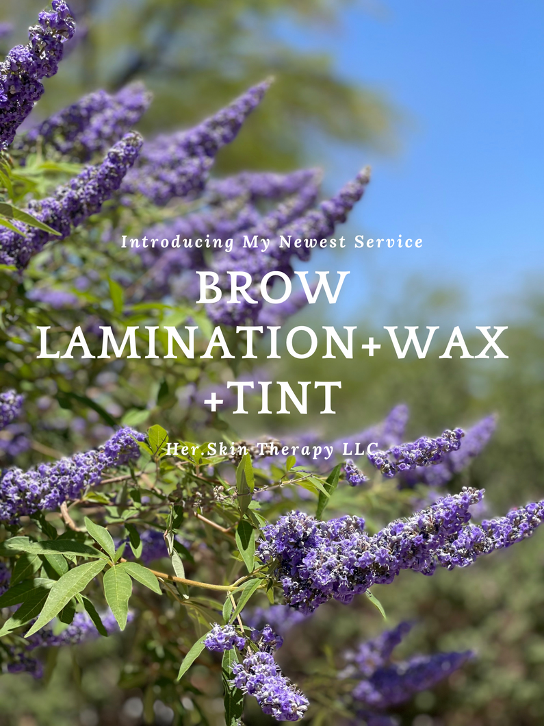 Brow Lamination + Wax +Tint